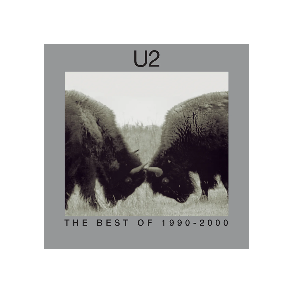 The Best Of 1990-2000 2LP