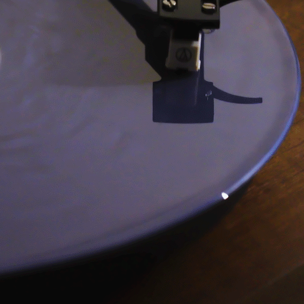 Man's Best Friend D2C Luxe Packaging LP Spinning Vinyl
