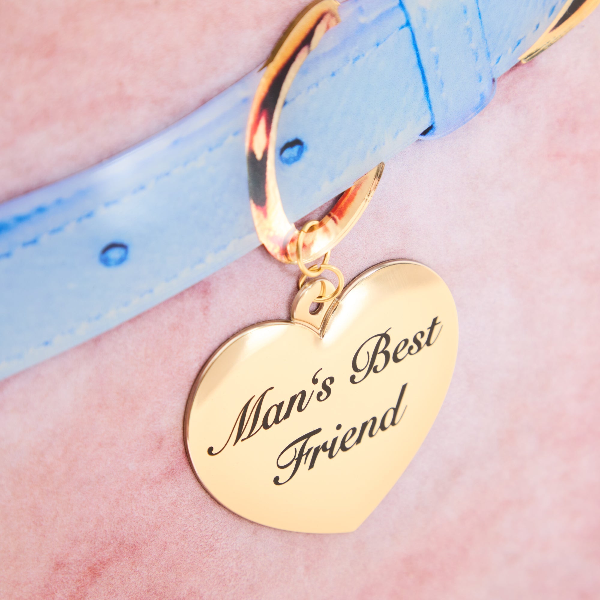 Man's Best Friend D2C Luxe Packaging LP - Island Records