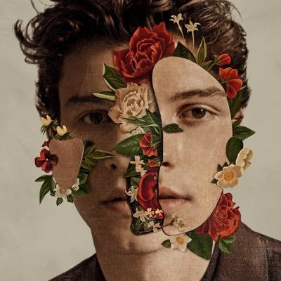 Shawn Mendes CD Cover III