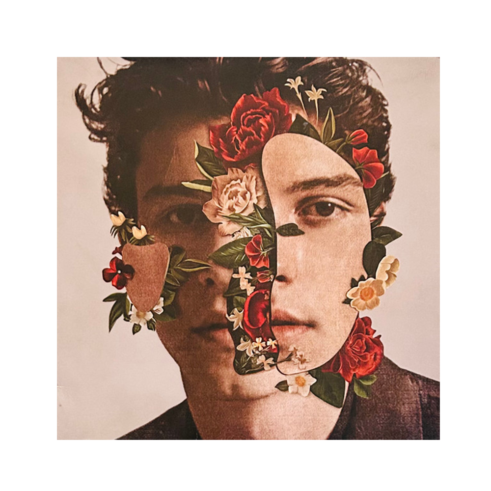 Shawn Mendes Vinyl detail 2