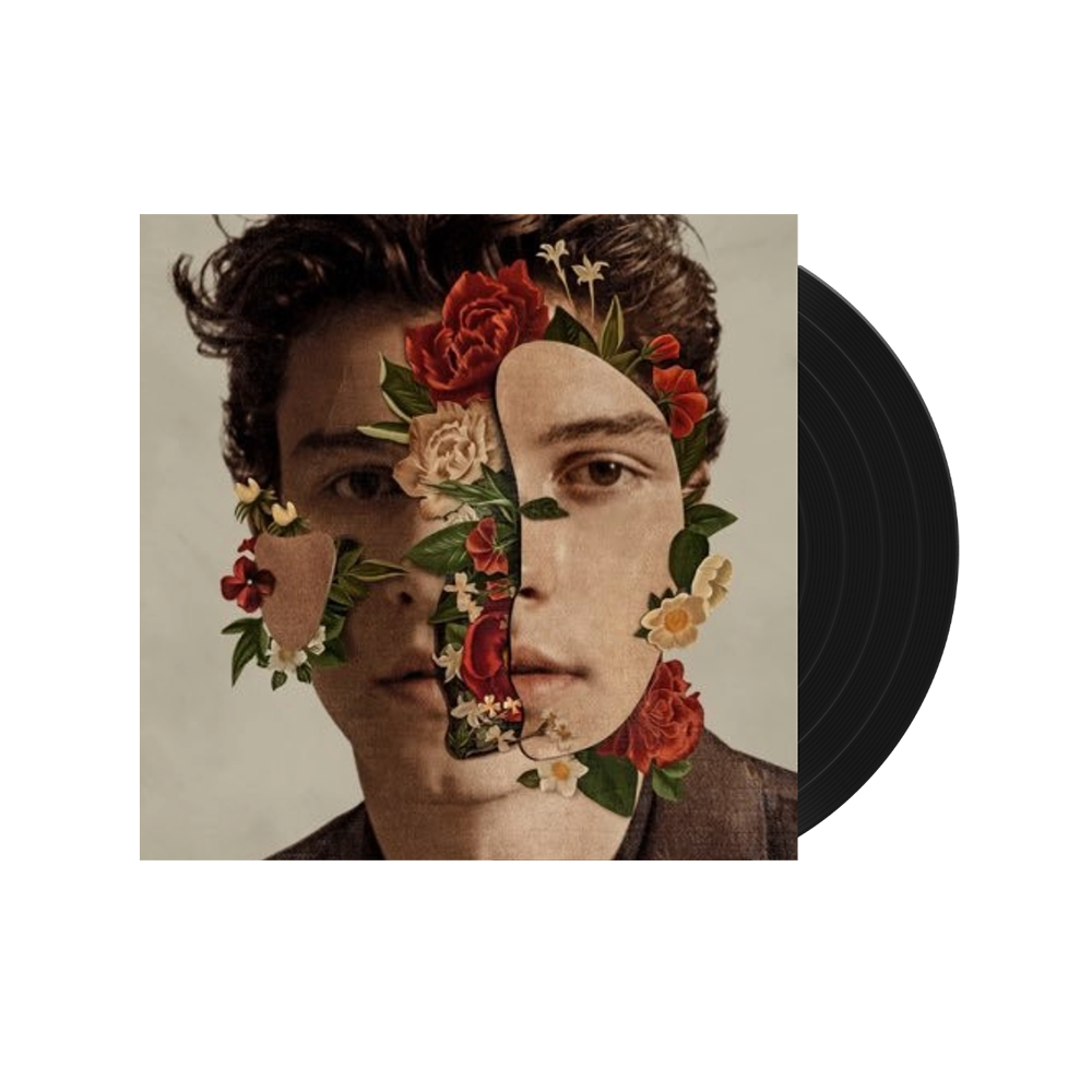 Shawn Mendes Vinyl detail 1