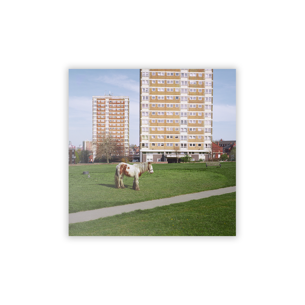 It Goes On – CD - Island Records Official Store
