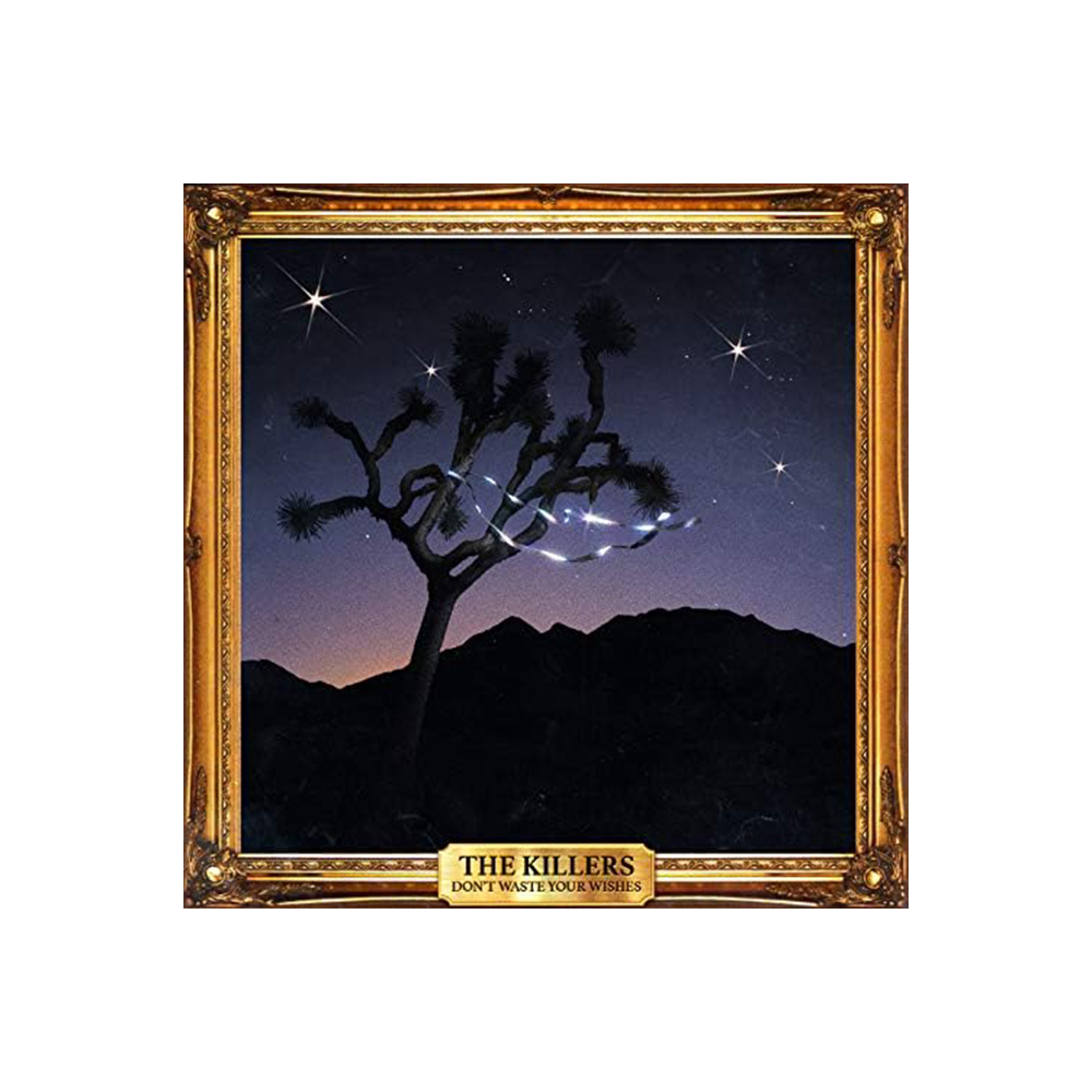 DON'T WASTE YOUR WISHES (D2C) LP