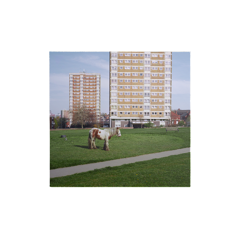 It Goes On Standard LP Cover