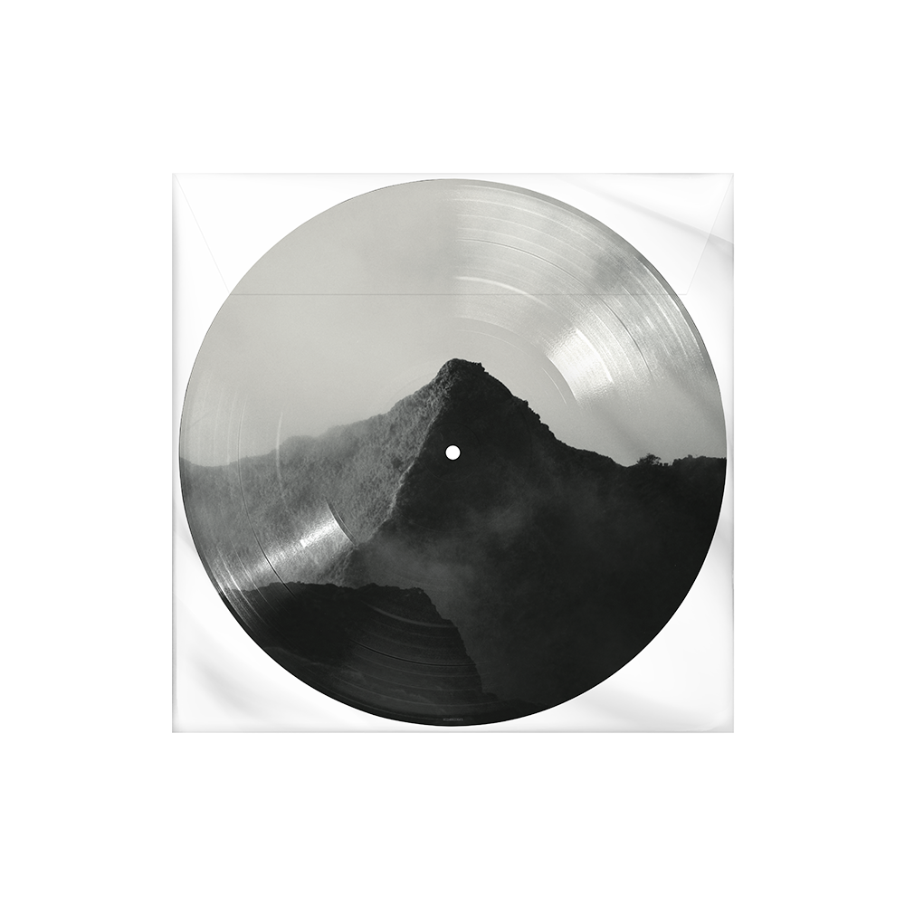 Vinyl Island Records Official Store vinyl-island-records-official-store